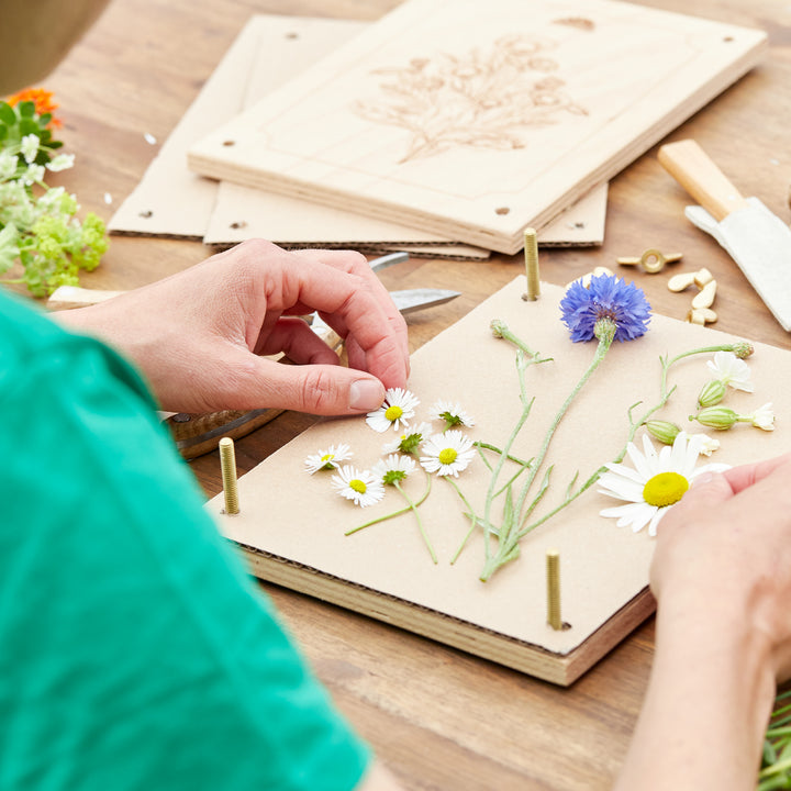 Une personne place diverses fleurs, notamment des marguerites et des bleuets, dans un presse-fleurs en bois sur une table.