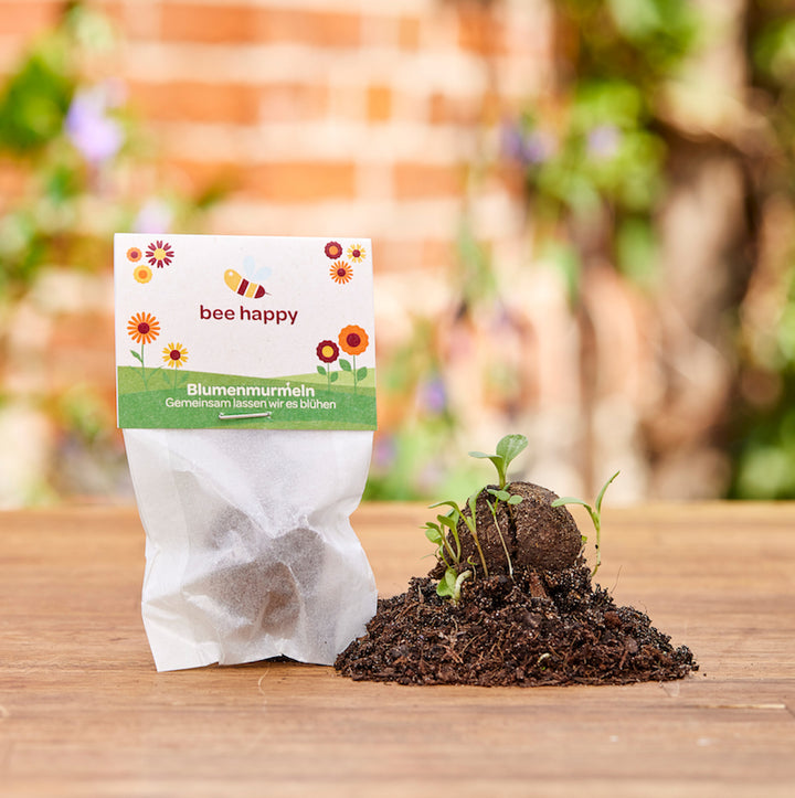 Un paquet de billes de fleurs avec l'inscription « bee happy » et de petites plantes poussant à partir d'une bombe de graines dans le sol, sur un fond de jardin flou.