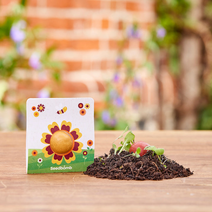 Un emballage de bombe à graines avec un motif floral se trouve à côté de la terre et des plantes en germination sur une table en bois.