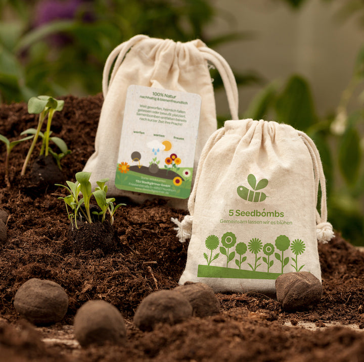 Bombes de graines dans des sacs en lin sur un sol fertile avec de jeunes pousses de plantes et une carte d'information"