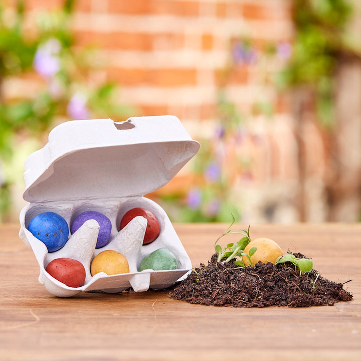 Une boîte à œufs ouverte contenant des boules colorées et des boules avec des plantes qui poussent dans un tas de terre.