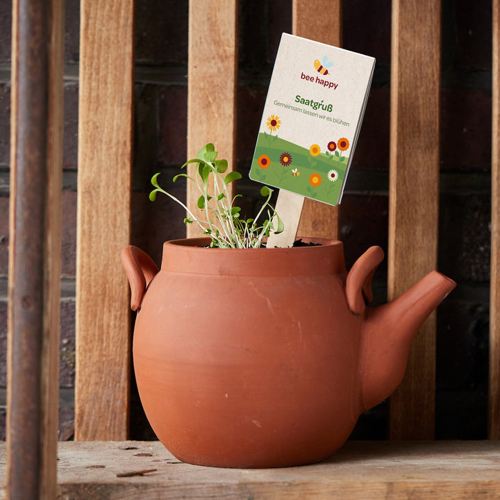 Une théière en argile brune sert de pot de fleurs, d'où poussent de jeunes plantes ; un panneau indiquant « salutation aux graines heureuses des abeilles » est planté dans le sol.