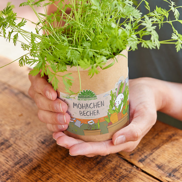 Carrot Cup - Kit de culture pour enfants
