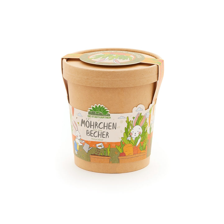 Tasses de carottes - tout ce dont vous avez besoin pour commencer à cultiver immédiatement