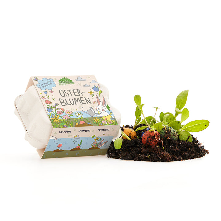 Emballage en carton étiqueté « Fleurs de Pâques » à côté de terre dans laquelle poussent des boules de graines colorées et de jeunes plantes.