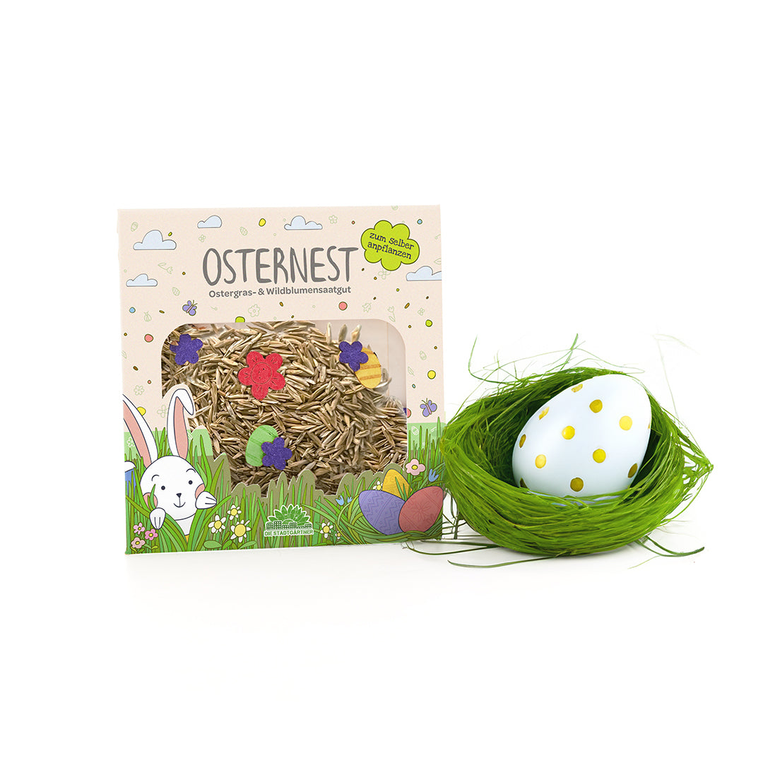 Herbe de Pâques pour le nid de Pâques