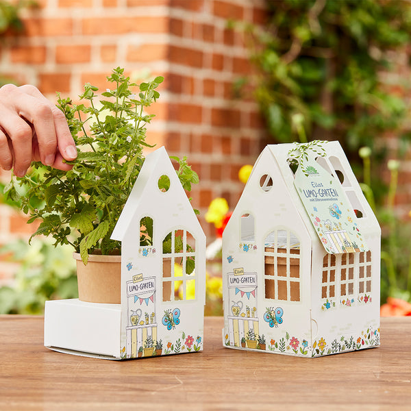 Deux jardinières décoratives avec des pots d'herbes, une main cueillant des feuilles ; un mur de briques et un jardin en arrière-plan.