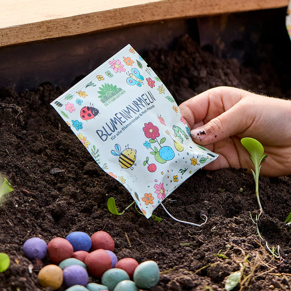 5 billes de fleurs dans un sac scellé