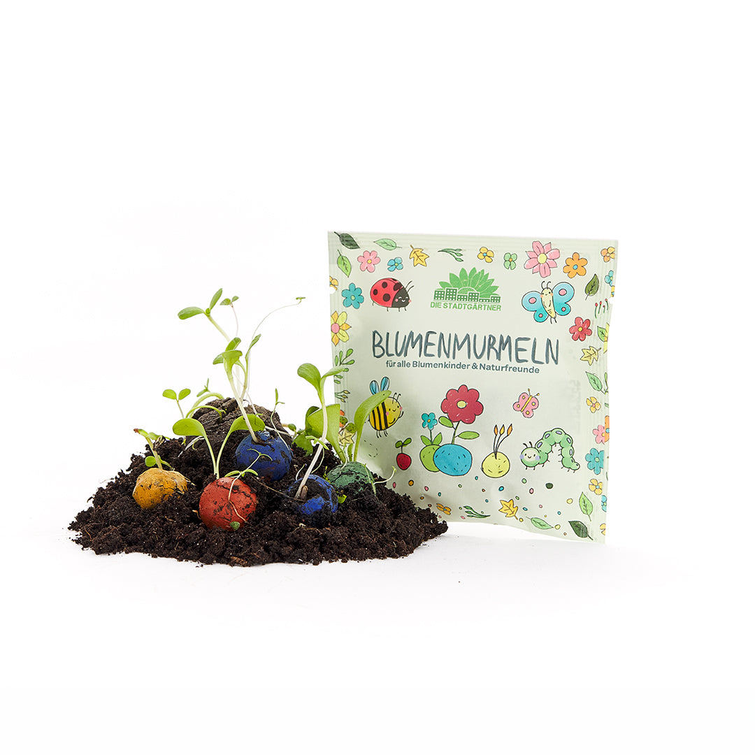Un sac étiqueté « Flower Marble » se trouve derrière de la terre remplie de boules de graines colorées et de plantes en train de germer.