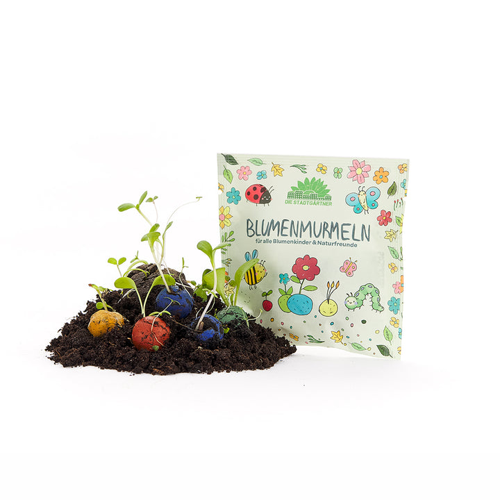 Un sac étiqueté « Flower Marble » se trouve derrière de la terre remplie de boules de graines colorées et de plantes en train de germer.