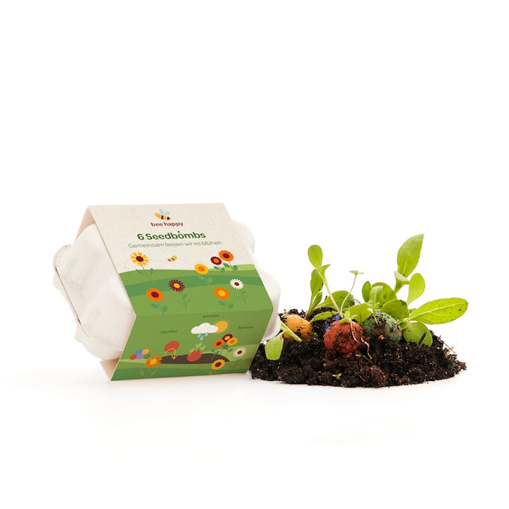 Emballage en carton étiqueté « 6 Seed Bombs » à côté de terre et de plantes en germination.