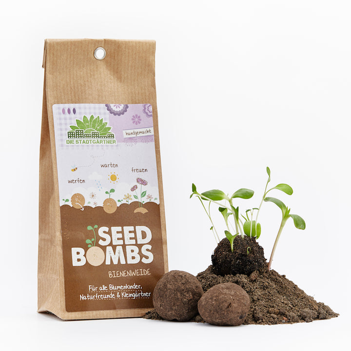 Paquet brun de « Seed Bombs » pour prairies mellifères à côté de plantes en germination et de mottes de terre sur fond blanc.