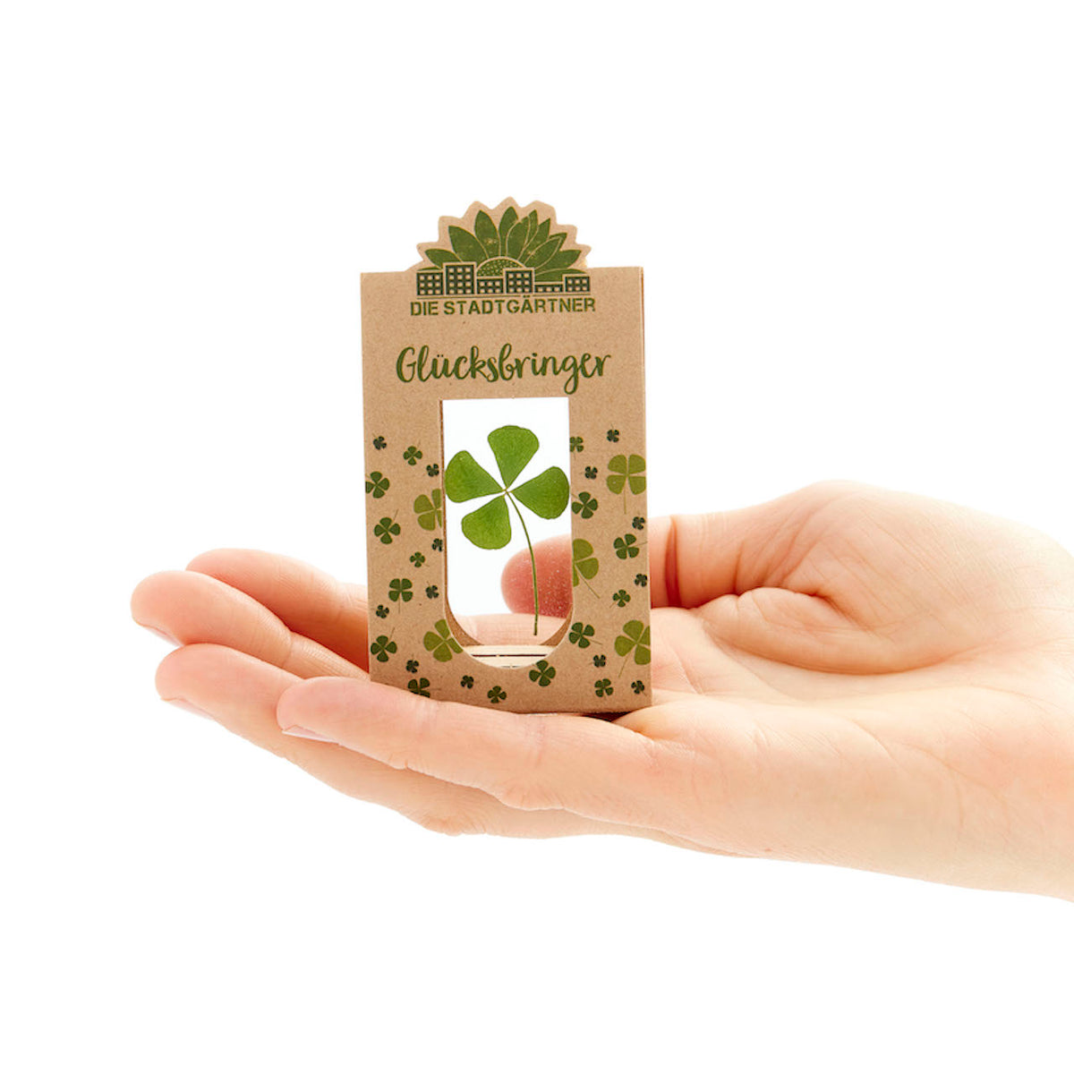 Une main tient un petit paquet avec un trèfle à quatre feuilles et l’inscription « Lucky Charm ».