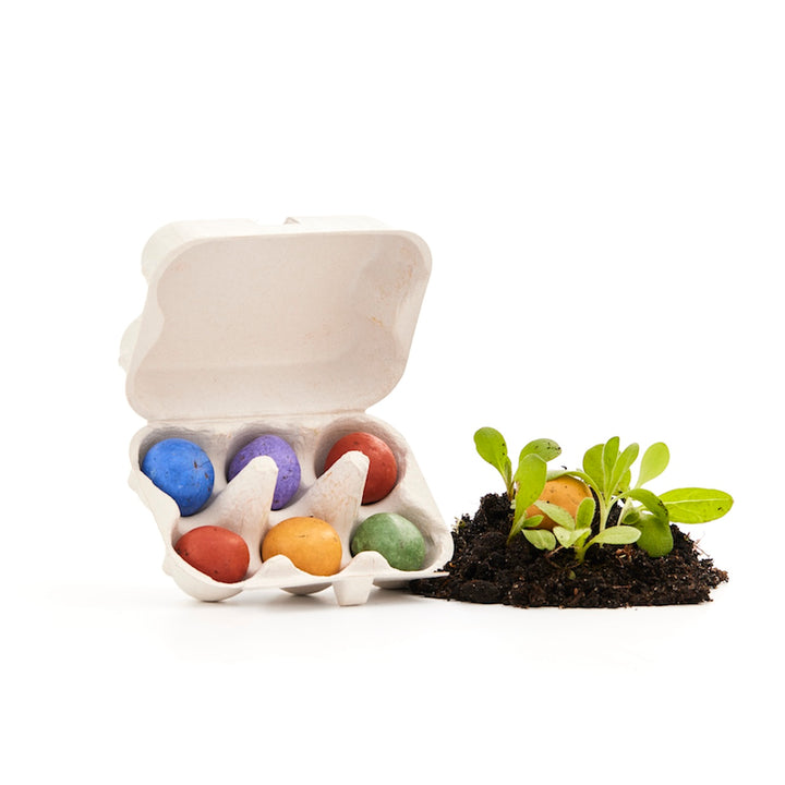 Boîte en carton contenant des boules de graines colorées et des petites plantes vertes poussant dans le sol.