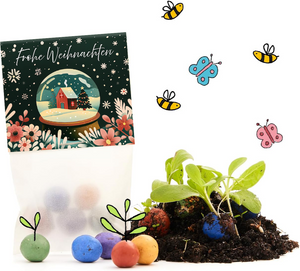 Sac avec l'inscription « Joyeux Noël », des bombes de graines colorées, de la terre, des plantes qui poussent et des abeilles et des papillons dessinés.