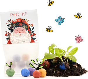 Coffret cadeau avec une carte « Joyeuses Fêtes ! », des boules de graines colorées, de la terre, des jeunes plants et des dessins d'abeilles et de papillons.