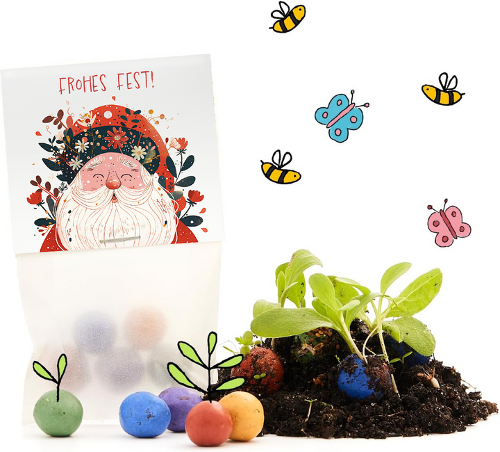 Coffret cadeau avec une carte « Joyeuses Fêtes ! », des boules de graines colorées, de la terre, des jeunes plants et des dessins d'abeilles et de papillons.