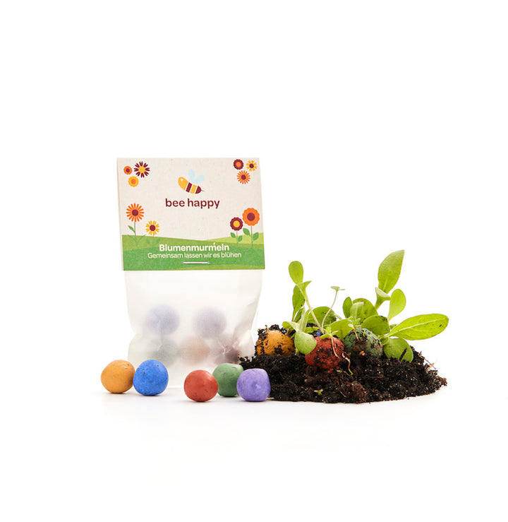 Un paquet de billes de fleurs « Bee Happy » avec des boules de graines colorées et des petites plantes sur terre.
