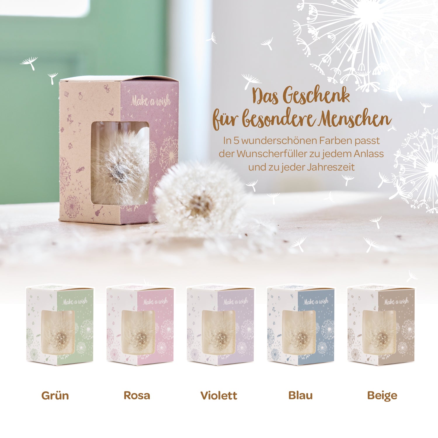 Cinq coffrets cadeaux avec des pissenlits de différentes couleurs (vert, rose, violet, bleu, beige) comme objets décoratifs exauçant les vœux, présentés sur une table, à côté du texte « Le cadeau pour les personnes spéciales ».