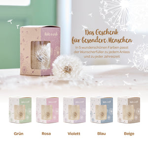 Cinq coffrets cadeaux avec des pissenlits de différentes couleurs (vert, rose, violet, bleu, beige) comme objets décoratifs exauçant les vœux, présentés sur une table, à côté du texte « Le cadeau pour les personnes spéciales ».