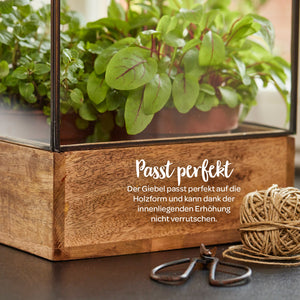Mini serre en bois et verre avec plantes vertes, bobine de ficelle et sécateurs de jardin sur une table.