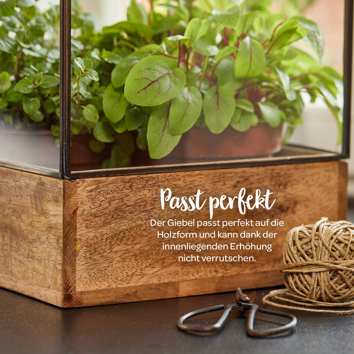 Mini serre en bois et verre avec plantes vertes, bobine de ficelle et sécateurs de jardin sur une table.