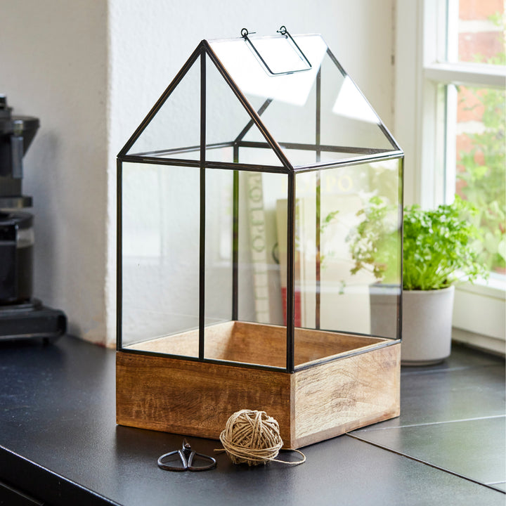 Une serre en verre avec un cadre en bois se dresse sur un comptoir de cuisine, à côté se trouvent des ciseaux et un rouleau de ficelle ; à l'arrière-plan, un pot d'herbes aromatiques se trouve sur le rebord de la fenêtre.