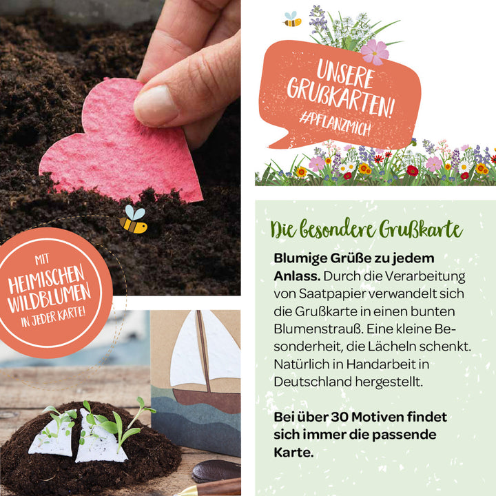 Une main plante une carte en papier ensemencé en forme de cœur dans le sol ; à côté, un texte sur les cartes de vœux en papier ensemencé représentant des fleurs sauvages indigènes qui se transforment en fleurs, ainsi que des informations descriptives sur la carte de vœux spéciale.