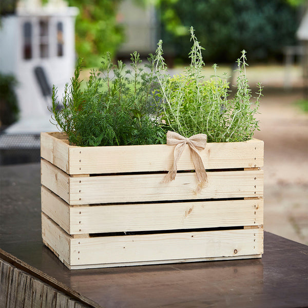 Coffre en bois léger pour le jardin