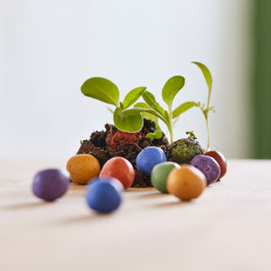 Différentes bombes de graines colorées faites de terre et de graines avec de jeunes plantes vertes sur un fond clair.