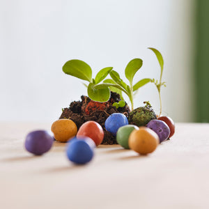 Petite plante verte poussant dans le sol, entourée de boules de graines colorées.
