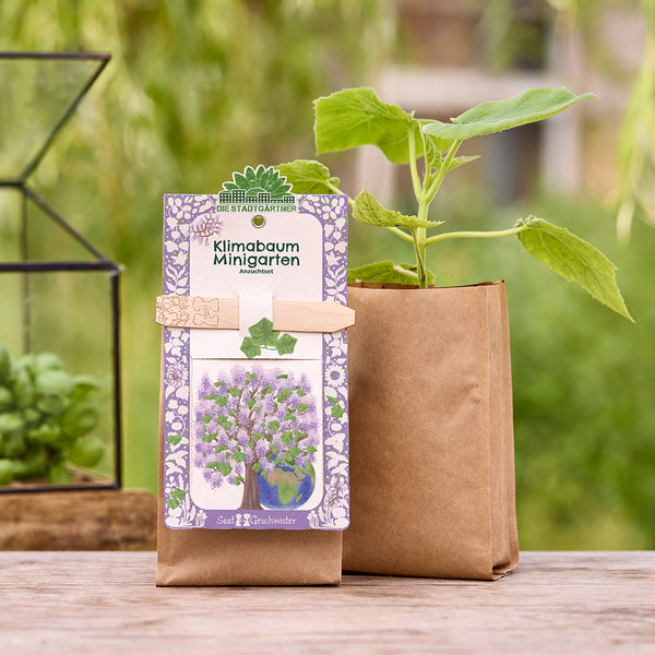 Un mini-kit de culture de jardin d'arbres climatiques avec une plante dans un sac en papier brun se trouve sur une table en bois dans le jardin.