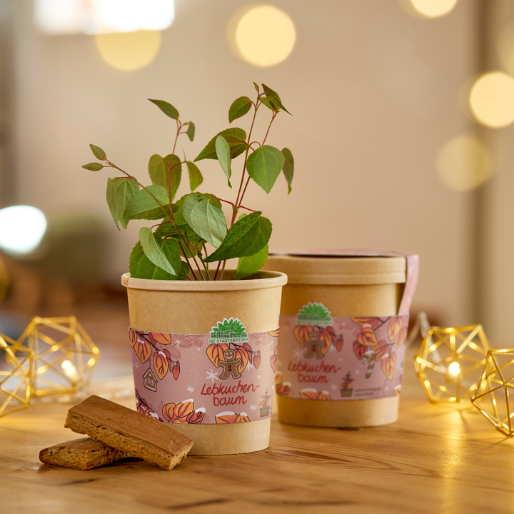 Arbre en pain d'épices de la tasse