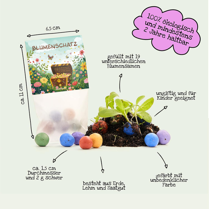 Bombes à graines colorées faites de terre, d'argile et de graines, certaines plantées de semis, à côté d'un emballage étiqueté « BLUMENSCHATZ » (Trésor de fleurs) avec des informations explicatives sur la taille, le poids, la composition et les propriétés des bombes à graines.