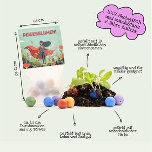 Un sac étiqueté « Power Flowers ! » entouré de boules de graines colorées et de plantes à fleurs, avec des descriptions de la taille, du contenu en graines, de la compatibilité écologique, de la sécurité des enfants et des ingrédients.