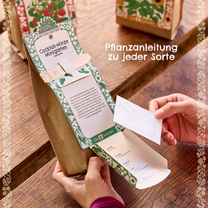 Personne tenant une boîte de culture d'herbes avec des instructions de plantation pour la menthe cocktail et des sachets de graines sur une table en bois.