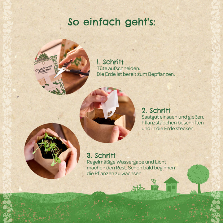 Instructions pour planter un mini jardin en trois étapes, illustrées de photos : ouvrez le sac, semez et arrosez les graines, et laissez pousser les semis.