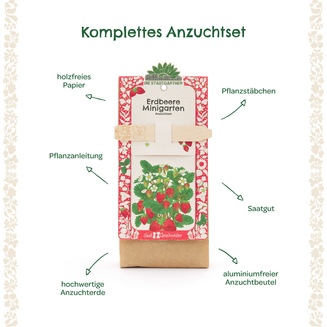 Kit complet de culture de fraises avec instructions de plantation, tuteurs de plantation, graines, terreau de haute qualité et un sac de culture sans aluminium étiqueté avec des flèches explicatives.
