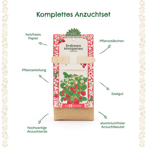 Kit complet de culture de fraises avec instructions de plantation, tuteurs de plantation, graines, terreau de haute qualité et un sac de culture sans aluminium étiqueté avec des flèches explicatives.