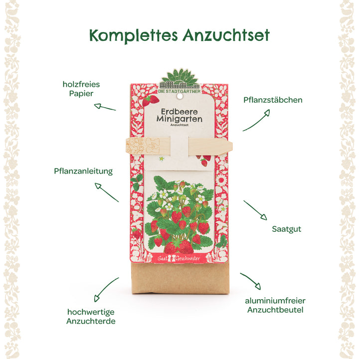 Kit complet de culture de fraises avec instructions de plantation, tuteurs de plantation, graines, terreau de haute qualité et un sac de culture sans aluminium étiqueté avec des flèches explicatives.