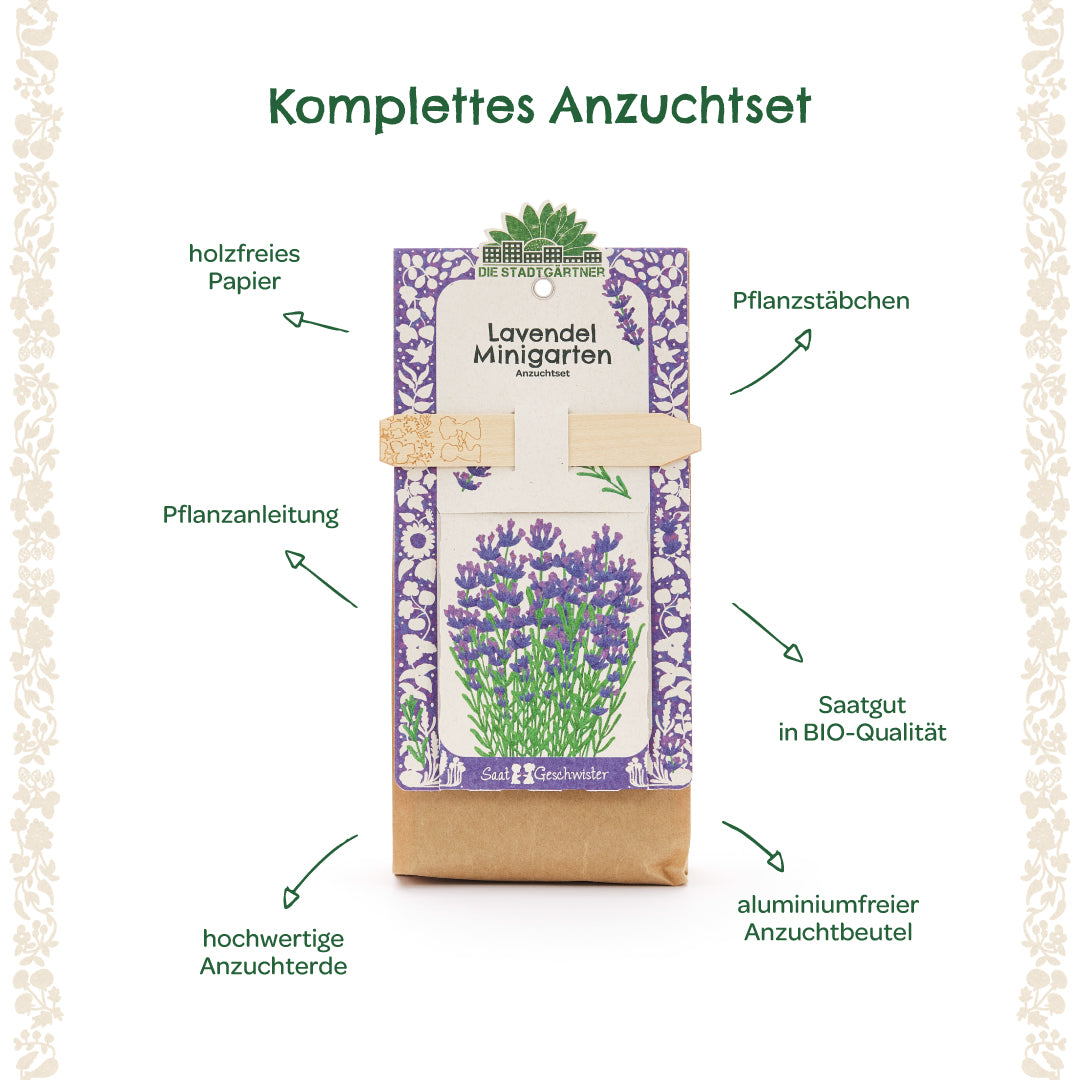Kit complet de culture de lavande avec instructions de plantation, bâtons de plantation, graines biologiques, terreau de haute qualité, papier sans bois et sac de culture sans aluminium.