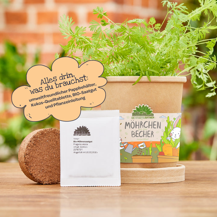 Un kit de culture de carottes respectueux de l'environnement composé d'un gobelet en papier avec un plant de carotte, des granulés de noix de coco et des sachets de graines, sur un fond vert.
