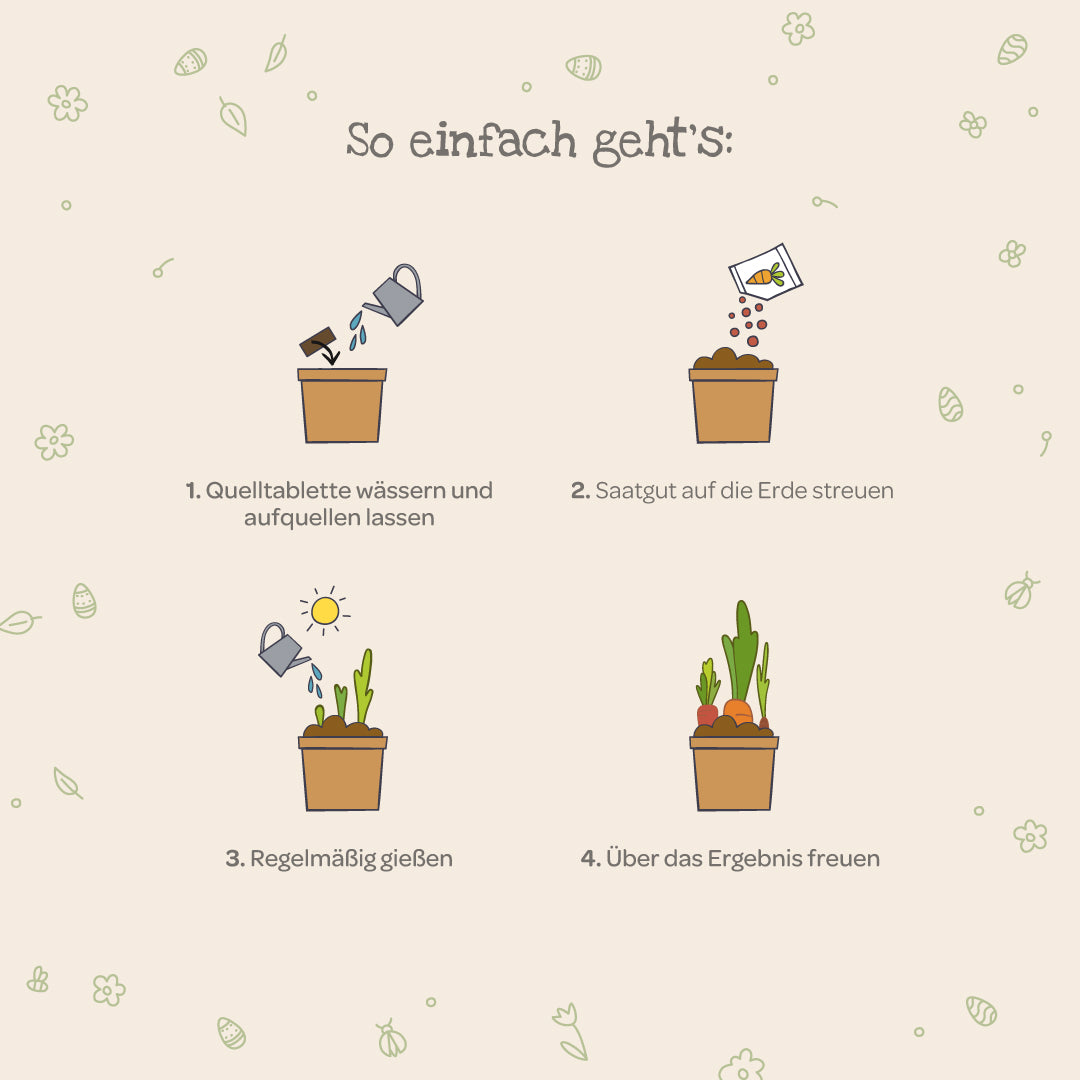 Quatre étapes simples pour faire pousser des plantes avec des illustrations : arrosez le comprimé de semis, dispersez les graines, arrosez régulièrement et profitez de la croissance.