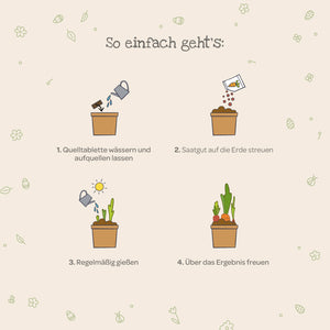 Quatre étapes simples pour faire pousser des plantes avec des illustrations : arrosez le comprimé de semis, dispersez les graines, arrosez régulièrement et profitez de la croissance.