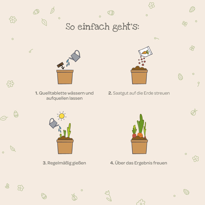 Quatre étapes simples pour faire pousser des plantes avec des illustrations : arrosez le comprimé de semis, dispersez les graines, arrosez régulièrement et profitez de la croissance.