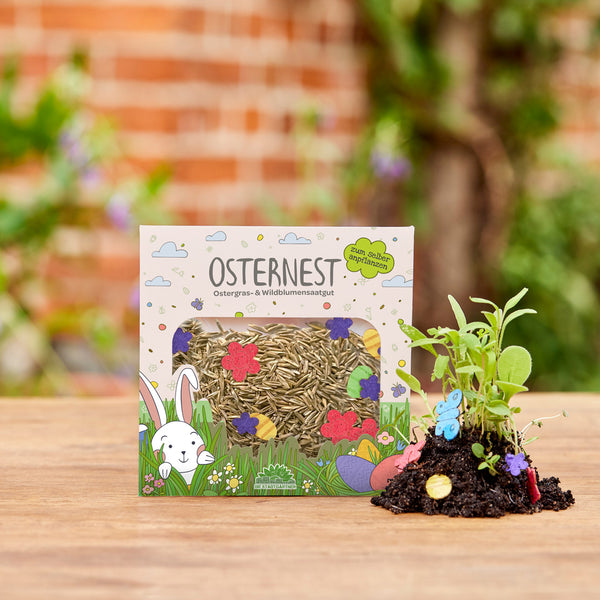 Confettis de graines de nid de Pâques pour l'herbe de Pâques