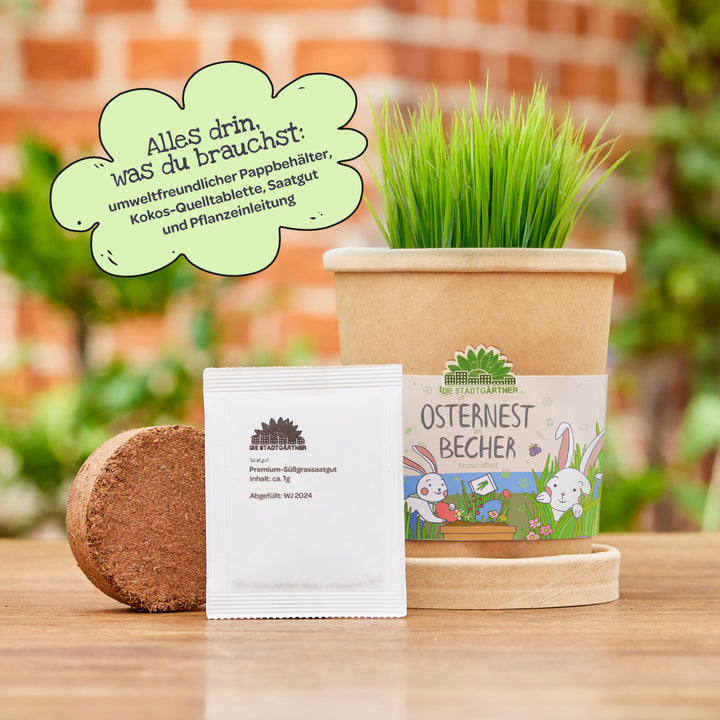 Un gobelet en papier écologique avec un motif de Pâques, rempli d'herbe verte ; à côté, une tablette d'expansion de noix de coco et un sachet de graines ; en arrière-plan, une bulle de dialogue verte avec des informations sur le contenu.