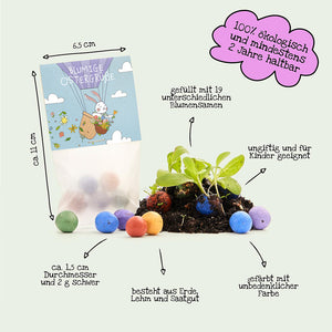 Sachets contenant des boules de graines colorées à partir desquelles poussent des plantes, entourés de textes explicatifs en allemand sur la taille, le contenu, le matériau et la sécurité.