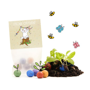 Cadeau de Pâques avec un mélange de graines colorées, une carte « Joyeuses Pâques » avec un lapin, des boules de graines et de jeunes plants, entourés d'abeilles et de papillons dessinés.