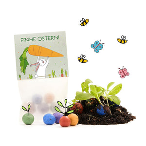 Cadeau de Pâques avec des boules de graines, des graines germées, une carte de Pâques dessinée avec un lapin et une carotte, ainsi que des abeilles et des papillons colorés.